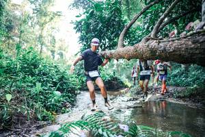 BIB: 
                            <button type="button" onclick="openModal(25439001)" class="btn btn-primary btn-sm float-right btn-popup" data-toggle="modal" data-target=".modal-high-quality">
                        <i class="fas fa-shopping-cart"></i> Add to Cart
                    </button>
                                            <button type="button" onclick="isThisMe(25439001, true)" class="btn btn-success btn-sm float-right btn-popup btn-isme hidden" data-toggle="tooltip" data-placement="bottom" title="นี่คือรูปของคุณใช่ไหม คลิกที่นี่เพื่อเอาเข้าอัลบั้ม">
                        <i class="fas fa-plus"></i> Add to album
                    </button>
                    <button type="button" onclick="isThisMe(25439001, false)" class="btn btn-warning btn-sm float-right btn-popup btn-isnotme hidden">
                        <i class="fas fa-ban"></i> Remove from album
                    </button>